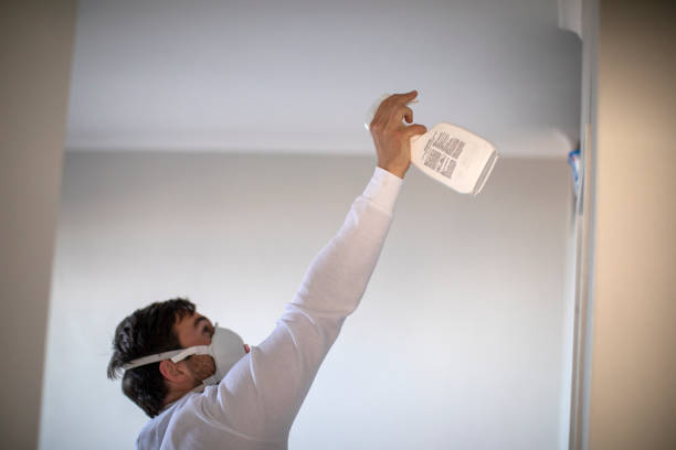 Best Emergency Mold Removal  in Neoga, IL