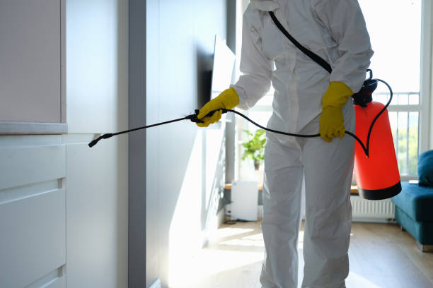 Professional Mold Removal in Neoga, IL